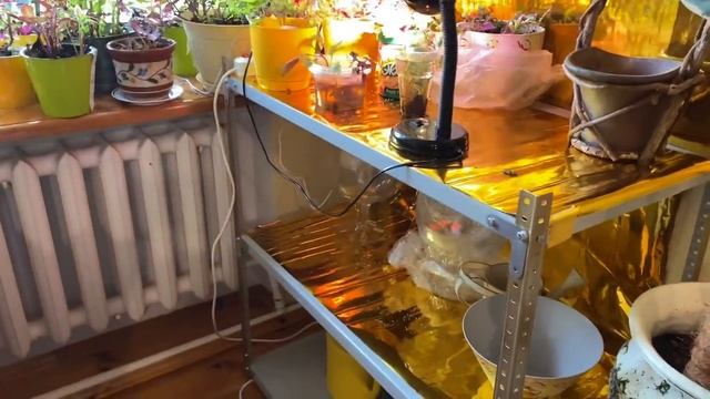 Дачная жизнь/ любимые рецепты / обзор стеллажа смотреть онлайн