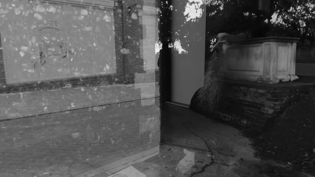 ПАРАЛЛЕЛЬНЫЕ. PARALLEL. Фильм протоиерея Сергия Баранова. 2018 ??  ENG SUBS