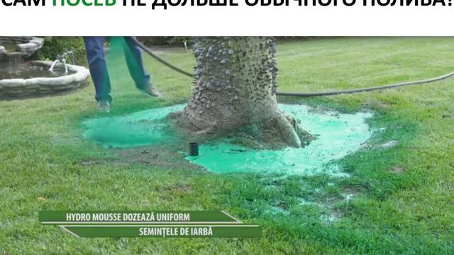 Жидкий газон простой способ получить красивую лужайку смотреть онлайн
