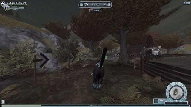 Star Stable All Nighter Challenge!? (DO NOT RECOMMEND) смотреть онлайн