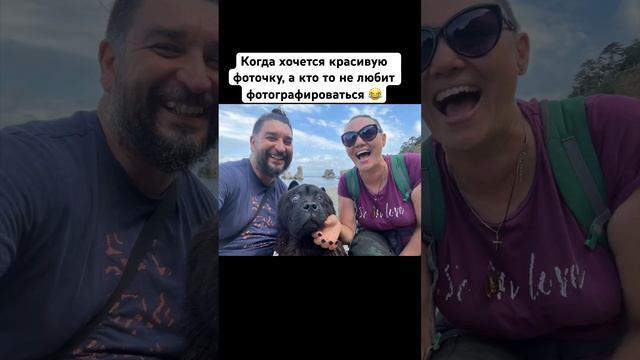 Раптор и его любовь к фотографии😁 #чаучау #смешной смотреть онлайн
