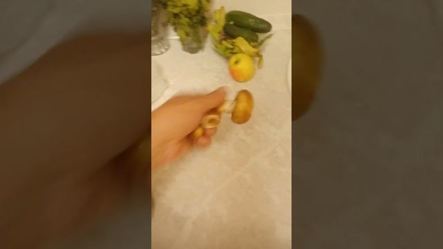 Лесные полеты