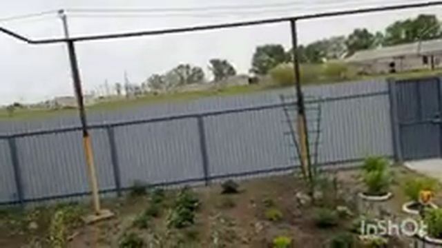 чем же я занимаюсь на даче?!) смотреть онлайн