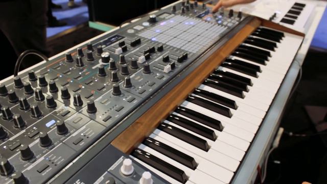 Arturia Matrix Brute Analogue Synth Massive Demo Sounds смотреть онлайн