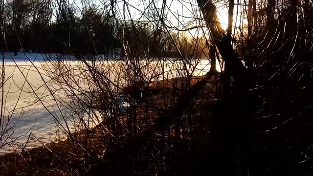 VID 1647883102701 В лесу, где часто...1905 (Н. Гумилёв)...Павел Васильев Лахтинский смотреть онлайн