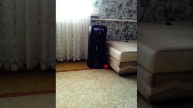 Тест на басс.10.05.2016 смотреть онлайн