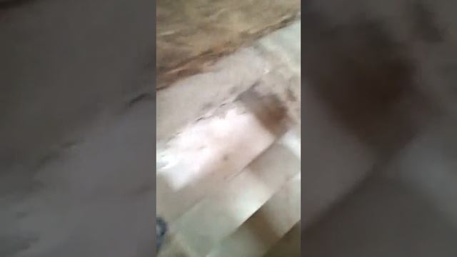 Монолитная лестница между двумя стен смотреть онлайн