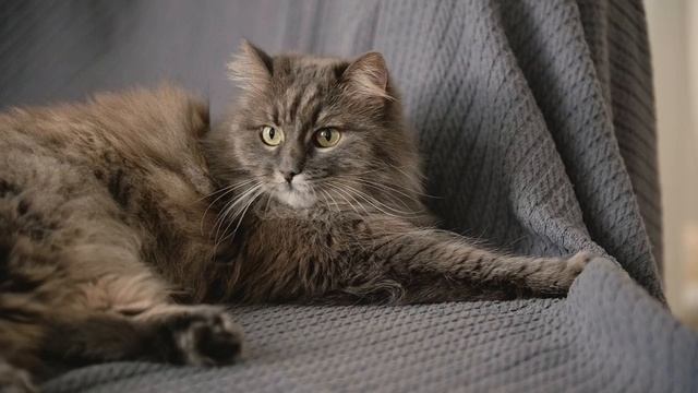 Где угодно, только не в моём доме занимайтесь "этим" делом,- голосит свекровь смотреть онлайн