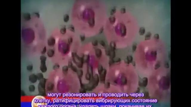 Принцип действия комплекса Вуцин и механизм очищения организма от шлаков, токсинов смотреть онлайн