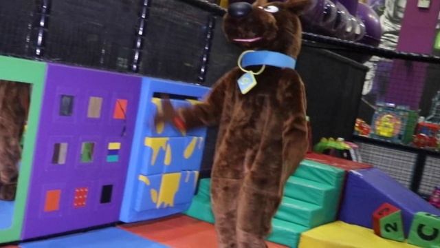 Mini Morph Mania Mascot Treasure Hunt! | Wonder World TV смотреть онлайн