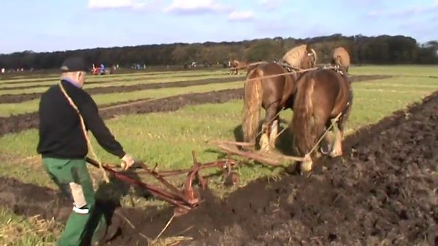 Pløjning ved Gl Estrup 2011 смотреть онлайн