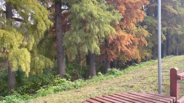 ГДЕ ЖИТЬ В СЕРБИИ ?/ Бачка Паланка Города Сербии Сколько стоит Недвижимость смотреть онлайн