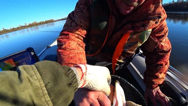 ЩУКИ СОШЛИ С УМА. Три подряд поклевки. Джиг. рыбалка смотреть онлайн