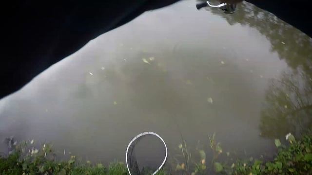 Безлимит Мисайлово | Как ловить крупную форель | Пассивная форель на силикон смотреть онлайн