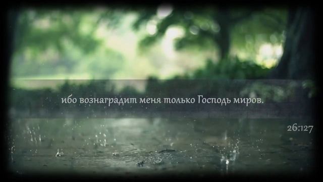 чтец. Махьди аш-Щищан. Quran 26:116-140 смотреть онлайн