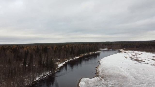 Незабываемая ОХОТА НА ГЛУХАРЯ осенью с подхода смотреть онлайн