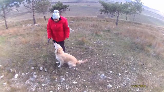 Выдержка во время игры смотреть онлайн