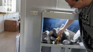 Iwagumi Wild Rhino Stone - AQUAEL OPTISET 125