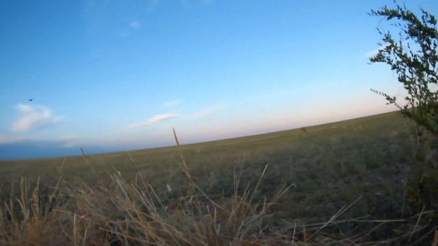 охота на кроншнепа 2020 смотреть онлайн