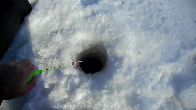 Зимняя рыбалка, на «Белом» озере, окунь, конец февраля. смотреть онлайн