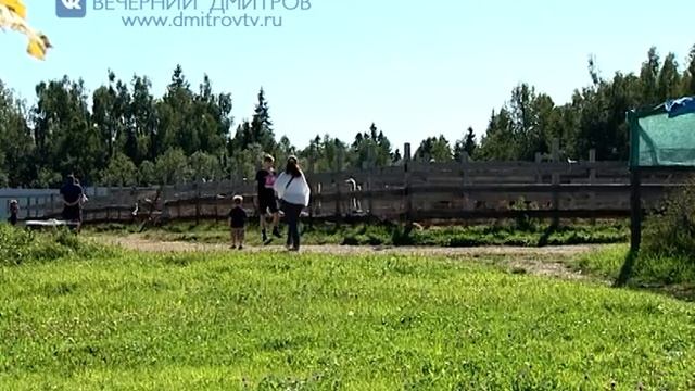 "Актуальный репортаж" Страусиная ферма 1.09.2018 смотреть онлайн