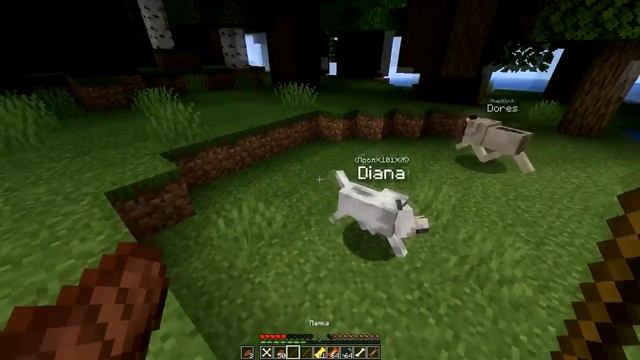 ОБЗОР МОДА НА ТАЛАНТЫ ПИТОМЦЕВ! ДРЕССИРОВКА СОБАК! TALANTS PETS! МАЙНКРАФТ! смотреть онлайн