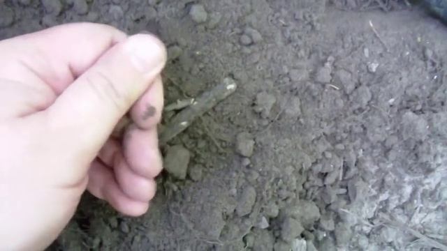 Diggin History #36 - Old abandoned school site in the woods metal detecting смотреть онлайн