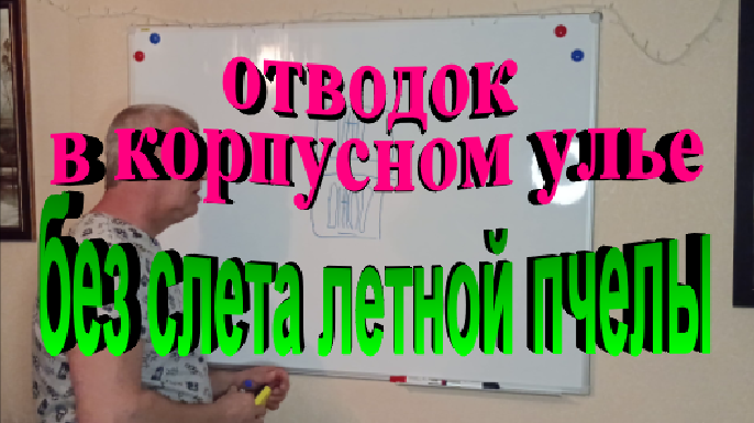 Как сделать отводок в многокорпусном улье на своей пасеке без слета летной пчелы смотреть онлайн