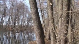 Рыбалка в Шатуре. Открытие сезона ловли на поплавок (24.04.2018)