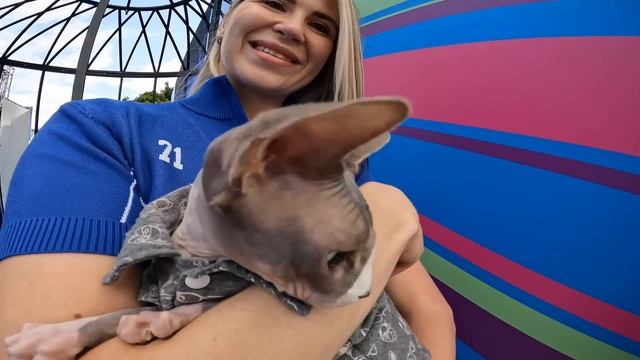 Дени и Мэни на ВК Фесте⭐️Прошлись по ковровой дорожке?Посетили фестиваль любителей домашних питомце смотреть онлайн