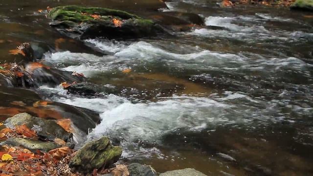 Шум ручья и звуки природы. Расслабляющее пение птиц для души и медитации. Утренний релакс на природ смотреть онлайн