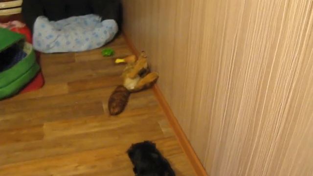 MVI 4204 смотреть онлайн