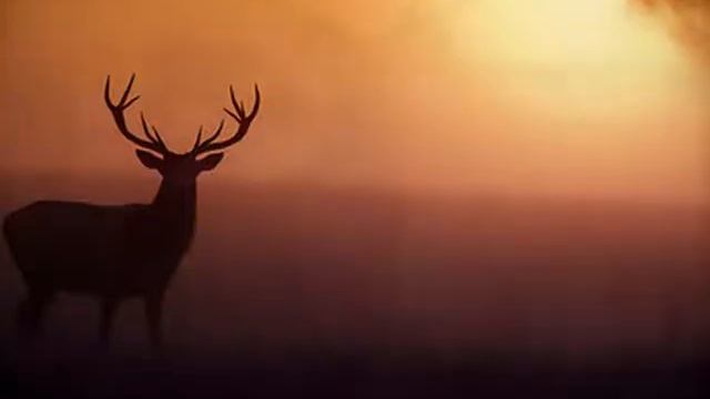 Concerto Pour Une Voix