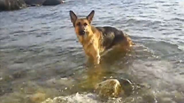 На море смотреть онлайн