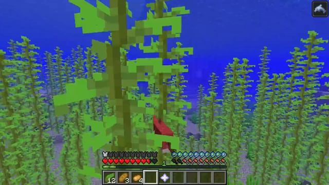 КАК ИГРАТЬ ЗА РЫБУ ЛОСОСЬ В МАЙНКРАФТЕ? МАЙНКРАФТ ПРЕВРАЩЕНИЯ смотреть онлайн