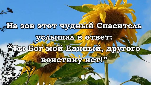 Я верю в Иисуса - христианская песня смотреть онлайн