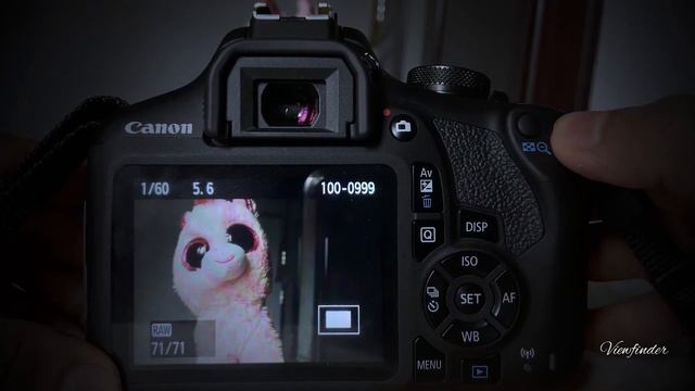 CANON EOS 2000D RAW + JPEG QUALITY SETUP MALAYALAM смотреть онлайн