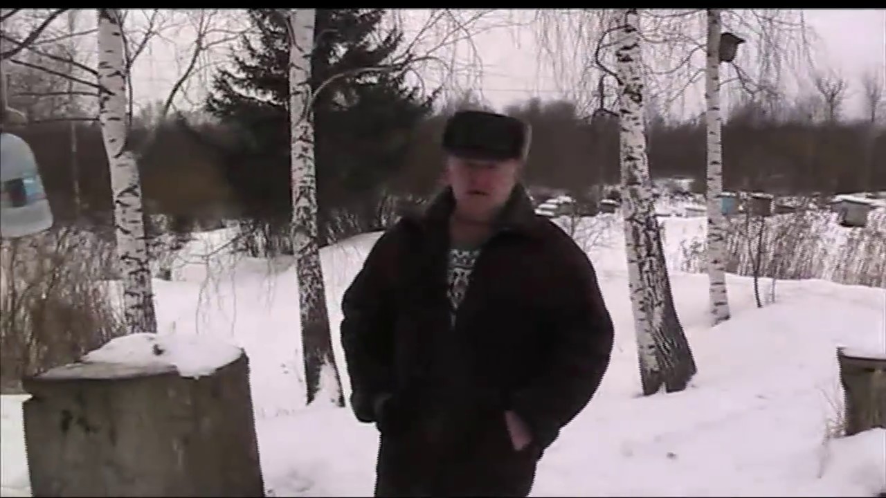 СИНИЦЫ НА ПАСЕКЕ / Как проходит борьба с синицами у нас на пасеке? смотреть онлайн