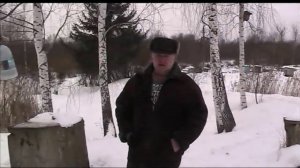 СИНИЦЫ НА ПАСЕКЕ / Как проходит борьба с синицами у нас на пасеке?