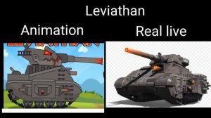 Real Live And Animation #2 #homeanimations #Showtank #waffletanksong