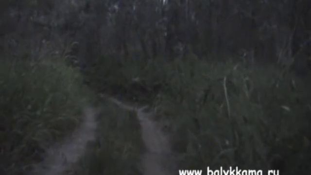 Совместная рыбалка смотреть онлайн