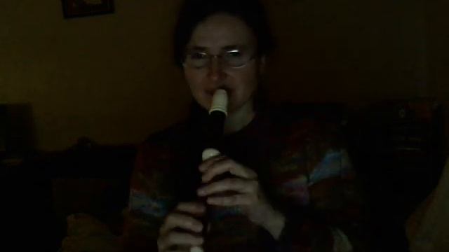 Descant (soprano) Recorder comparison: Yamaha ecodear vs aulos haka смотреть онлайн