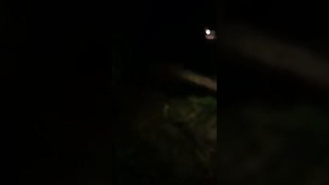 Ночь, лес, застрял....