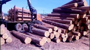 Камаз фишка (фискарс) - работа фискариста - сортировка леса манипулятором