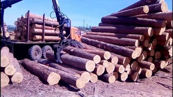 Камаз фишка (фискарс) - работа фискариста - сортировка леса манипулятором