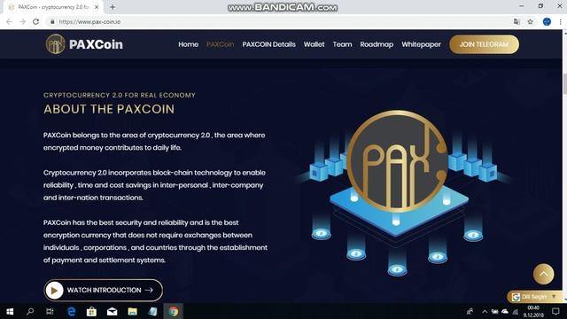 PAXCoin incelemesi 1 kısım TR смотреть онлайн