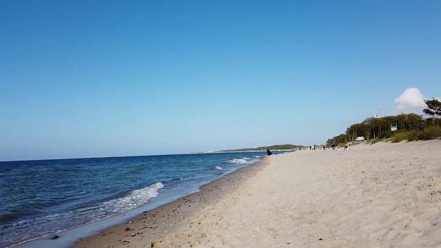 Когда пляжный сезон в Калининграде? Отдых на море смотреть онлайн