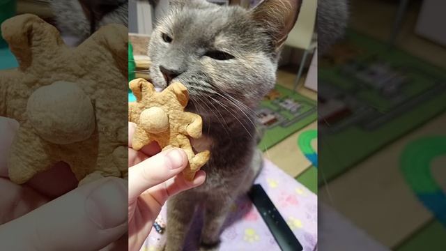 Милые животные