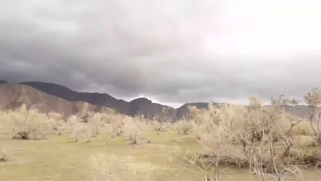 Чори Кул 😶🤫😱😱 смотреть онлайн