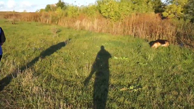 Первое видео.Прогулка. смотреть онлайн